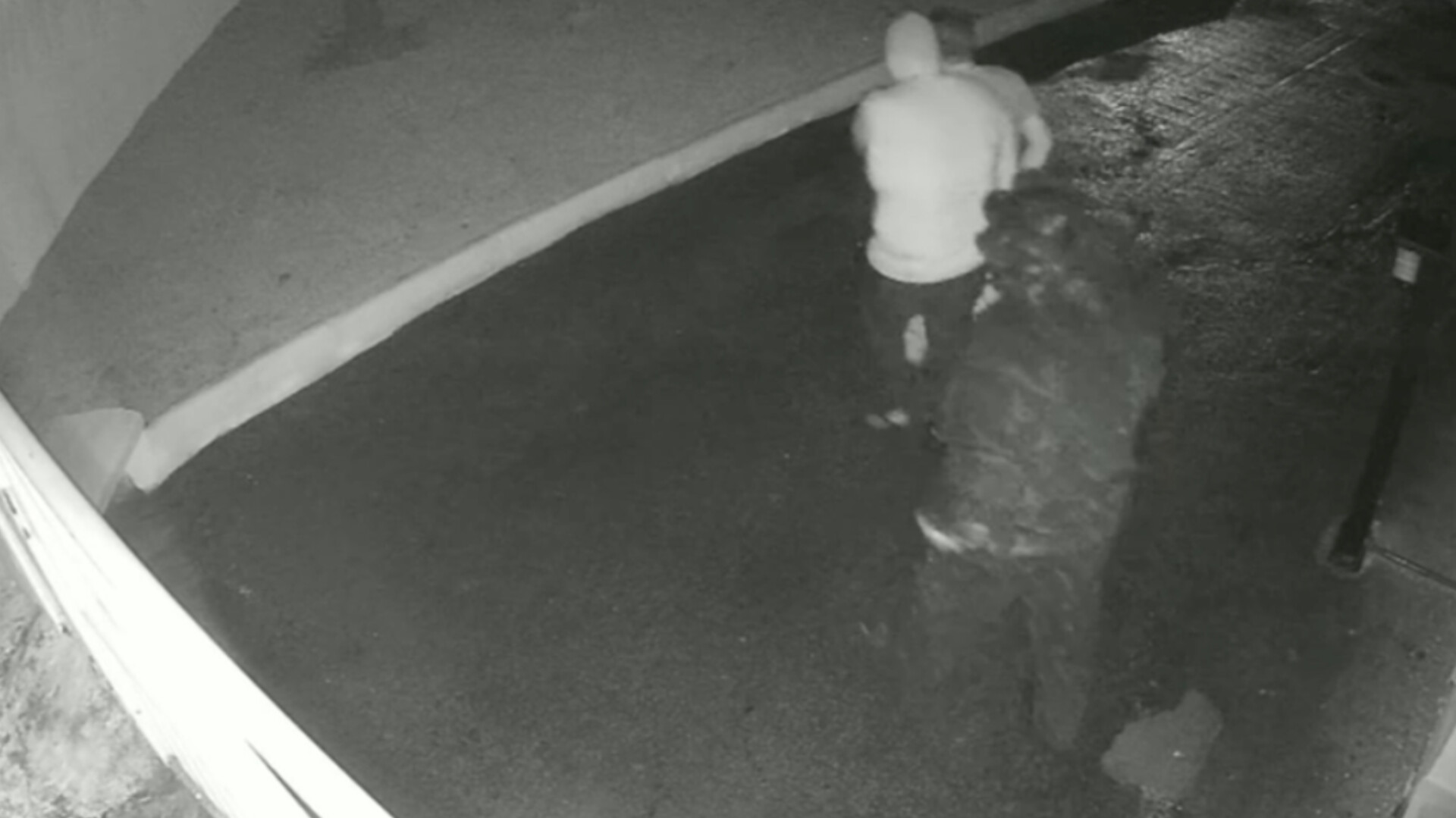 DESDOBRAMENTO: polícia analisa imagens para buscar suspeitos de tentar roubar avião pertencente a grupo empresarial de Sousa-PB